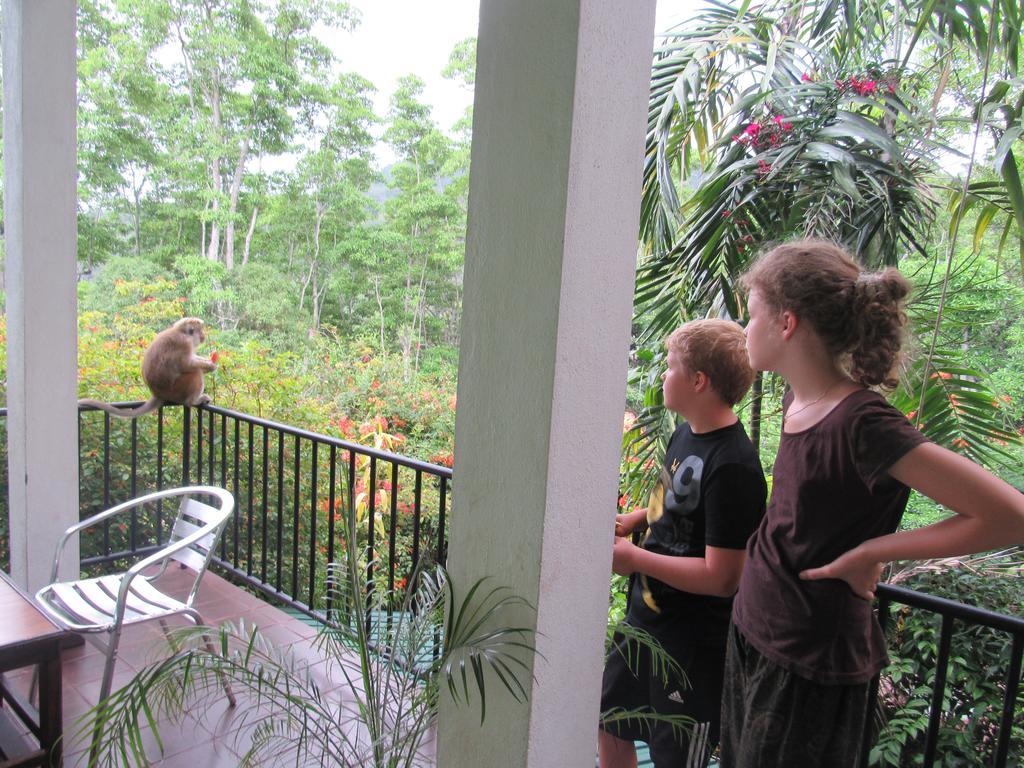 Hanthana Holiday Rooms แคนดี้ ภายนอก รูปภาพ