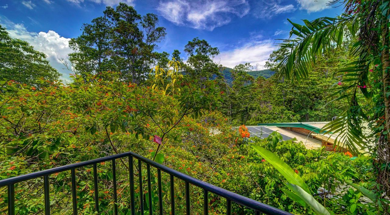 Hanthana Holiday Rooms แคนดี้ ภายนอก รูปภาพ